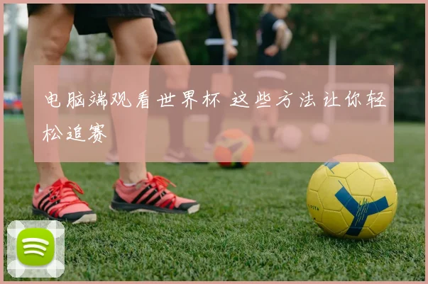 电脑端观看世界杯 这些方法让你轻松追赛