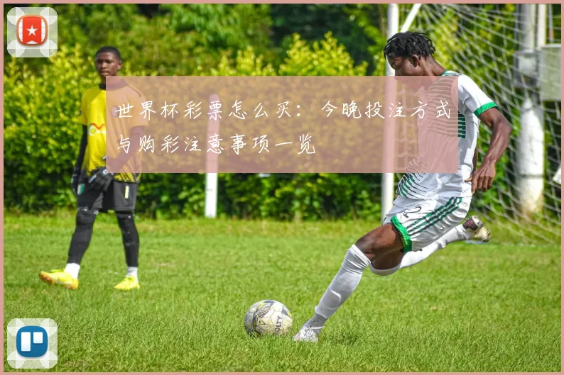 世界杯彩票怎么买:今晚投注方式与购彩注意事项一览