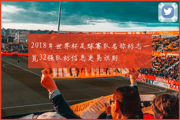 2018年世界杯足球赛队名称标志一览32强队标信息更易识别